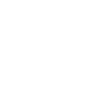 fan-2