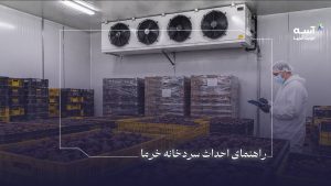 صفر تا صد احداث سردخانه خرما