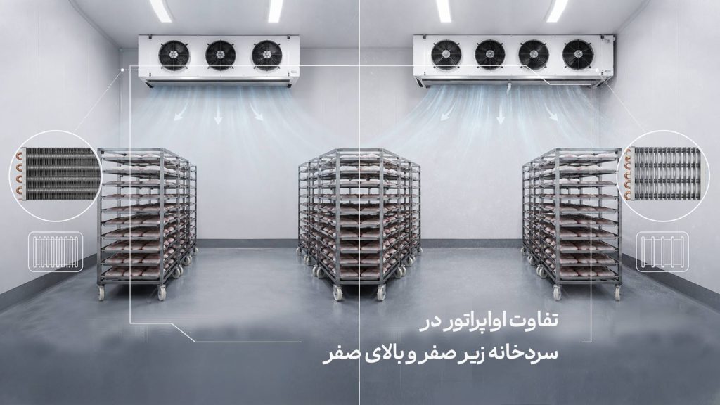صفحه اصلی